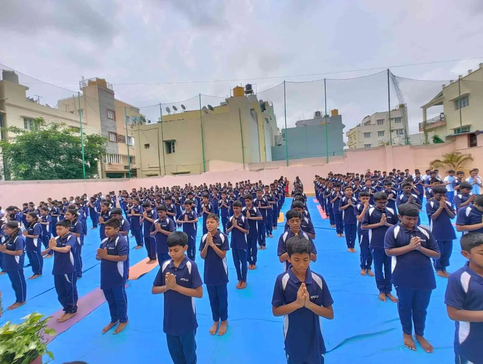 Rows of students in blue and white performing a coordinated yoga display on mats on the school ground